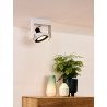 Spot plafond orientable LED dimmable Griffin