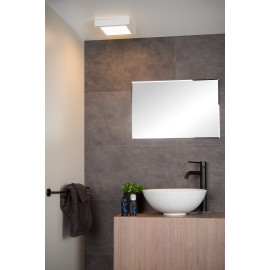 Plafonnier design pour salle de bain LED dimmable 1x20W Cie