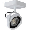 Spot plafond LED dimmable orientable Tala