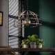 Suspension moderne Ø50 dôme Splendor