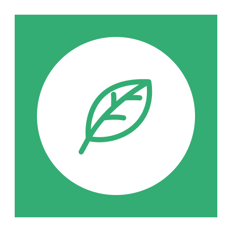 Contribution à un projet