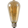 Ampoule filament vintage intérieur Hector