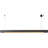 Suspension moderne en aluminium noir 2 LED Hanaé