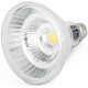 Ampoule LED E27 12W Ø12 cm 810Lm