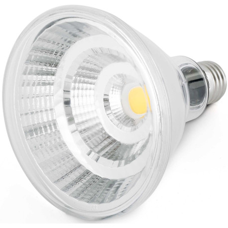 Ampoule LED E27 12W Ø12 cm 810Lm