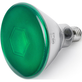 Ampoule LED verte E27 10W Ø12 cm 400Lm