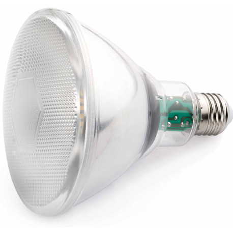 Ampoule LED E27 10W Ø12 cm 850Lm