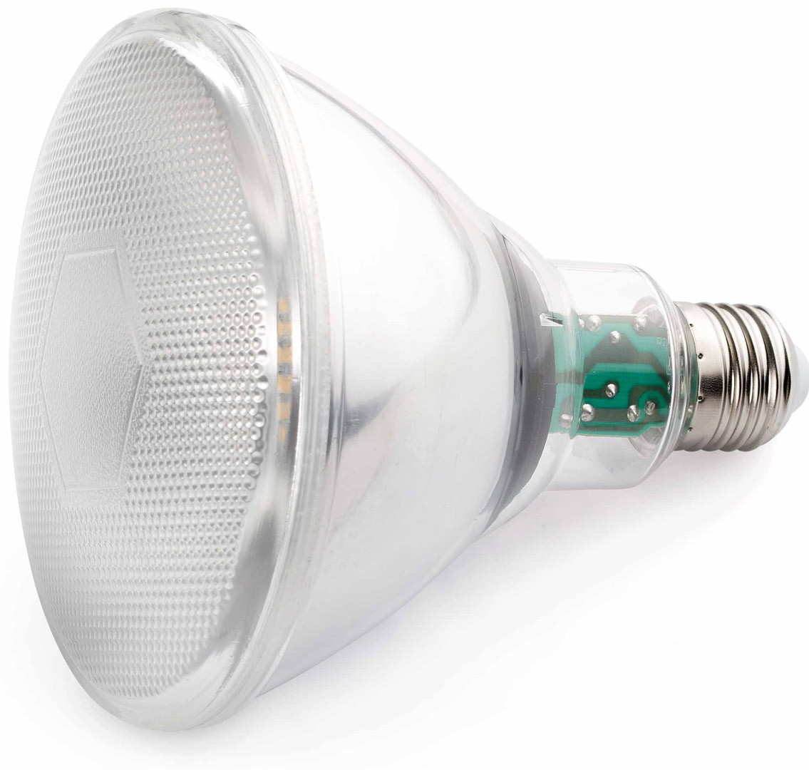 Ampoule LED E27 10W Ø12 cm 850Lm